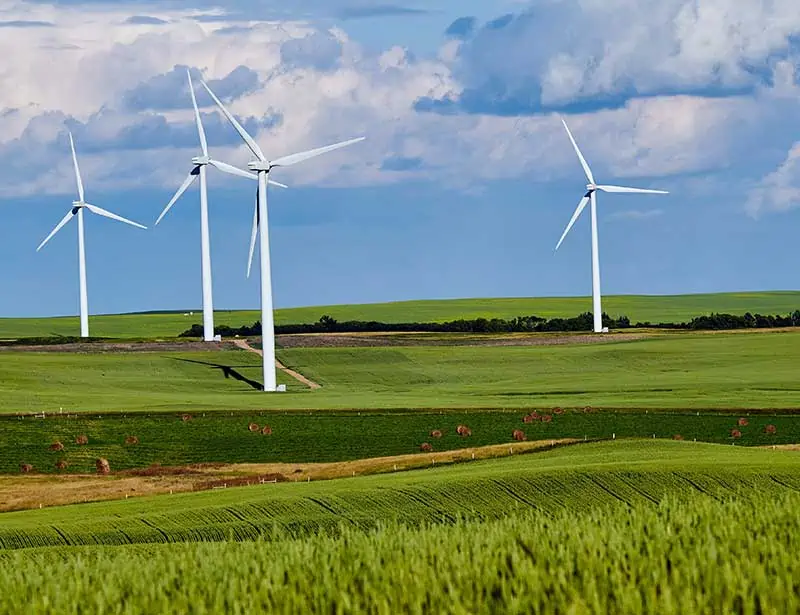 Wind farm