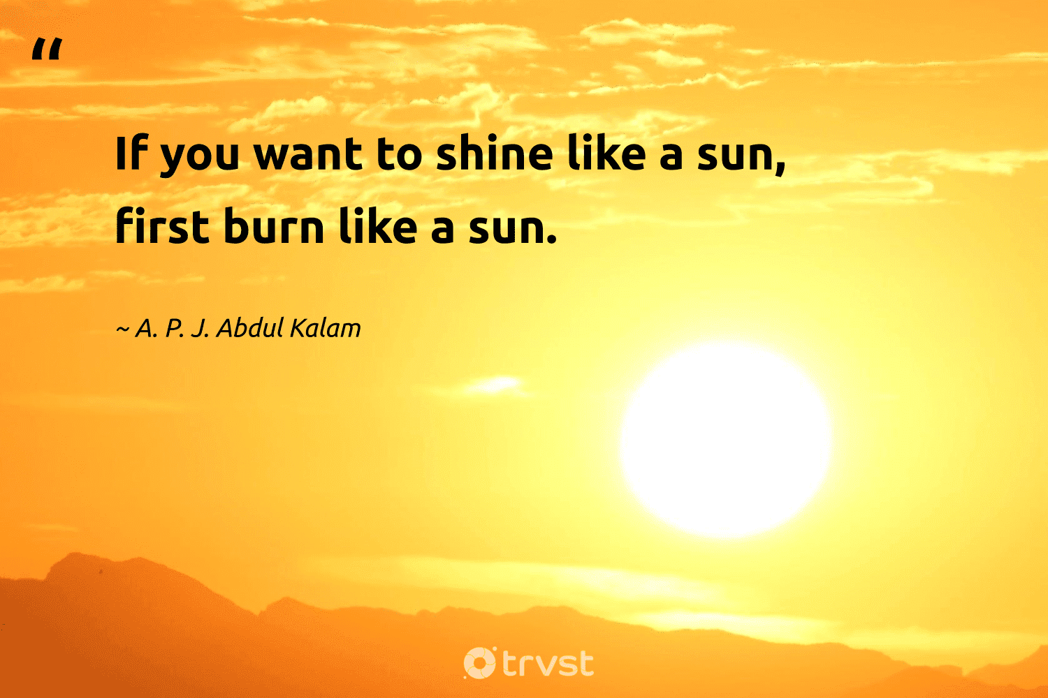 72 Sun Quotes To Boost Your Day