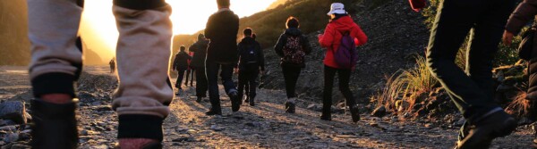 Who Invented Walking