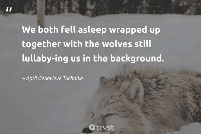 "We both fell asleep wrapped up together with the wolves still lullaby-ing us in the background." -April Genevieve Tucholke #trvst #quotes #gogreen #ecoconscious #wolf #modernliterature #books