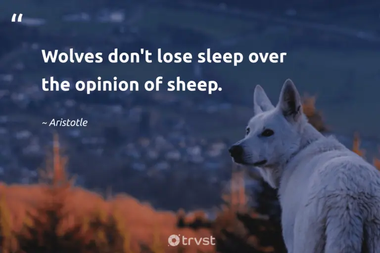 "Wolves don't lose sleep over the opinion of sheep." -Aristotle #trvst #quotes #planetearthfirst #socialchange #wolf #sheep #Aristotle