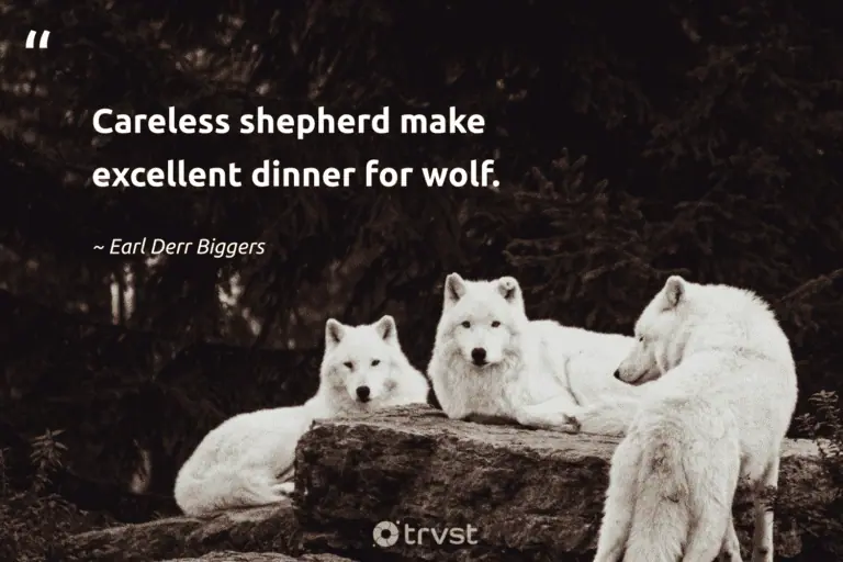 "Careless shepherd make excellent dinner for wolf." -Earl Derr Biggers #trvst #quotes #takeaction #socialimpact #wolf #captionideas