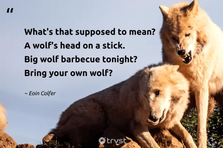 "What's that supposed to mean? A wolf's head on a stick. Big wolf barbecue tonight? Bring your own wolf?" -Eoin Colfer #trvst #quotes #dogood #changetheworld #wolf #modernliterature #books