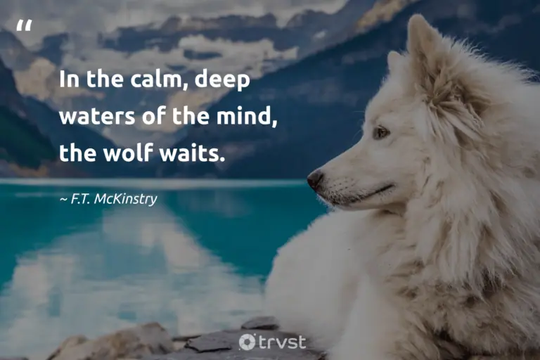 "In the calm, deep waters of the mind, the wolf waits." -F.T. McKinstry #trvst #quotes #dogood #collectiveaction #wolf #captionideas