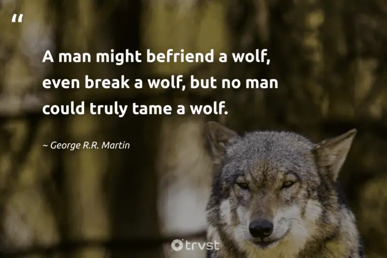 "A man might befriend a wolf, even break a wolf, but no man could truly tame a wolf." -George R.R. Martin #trvst #quotes #collectiveaction #thinkgreen #wolf #GeorgeRRMartin