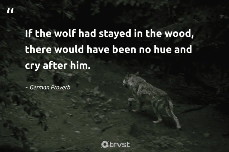 "If the wolf had stayed in the wood, there would have been no hue and cry after him." -German Proverb #trvst #quotes #thinkgreen #socialimpact #wolf #proverbs