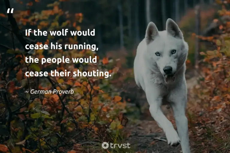 "If the wolf would cease his running, the people would cease their shouting." -German Proverb #trvst #quotes #dogood #beinspired #wolf #people #proverbs