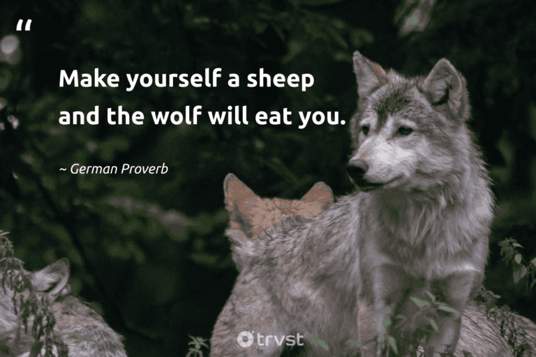 "Make yourself a sheep and the wolf will eat you." -German Proverb #trvst #quotes #impact #gogreen #wolf #proverbs