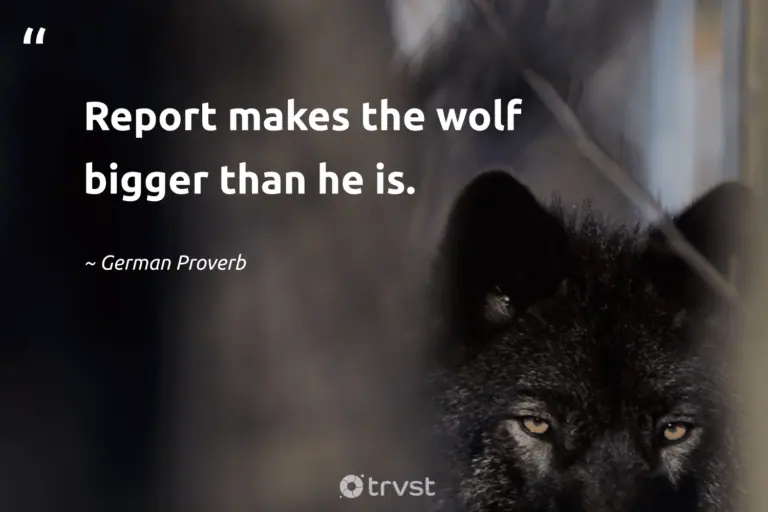 "Report makes the wolf bigger than he is." -German Proverb #trvst #quotes #impact #dogood #wolf #proverbs