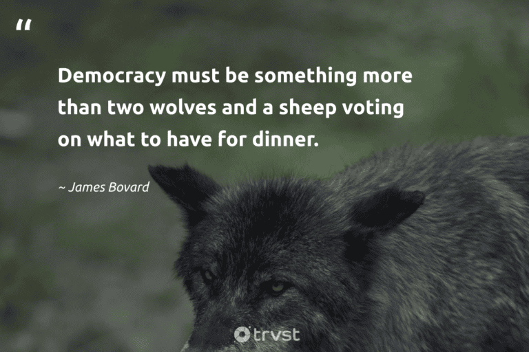 "Democracy must be something more than two wolves and a sheep voting on what to have for dinner." -James Bovard #trvst #quotes #planetearthfirst #bethechange #wolf
