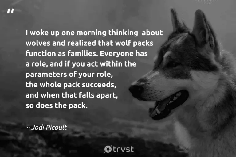 "I woke up one morning thinking about wolves and realized that wolf packs function as families. Everyone has a role, and if you act within the parameters of your role, the whole pack succeeds, and when that falls apart, so does the pack." -Jodi Picoult #trvst #quotes #socialimpact #socialchange #wolf #wolfpack