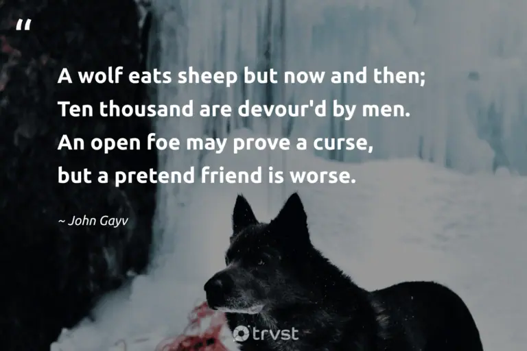 "A wolf eats sheep but now and then; Ten thousand are devour'd by men. An open foe may prove a curse, but a pretend friend is worse." -John Gay #trvst #quotes #socialimpact #changetheworld #wolf #pretend