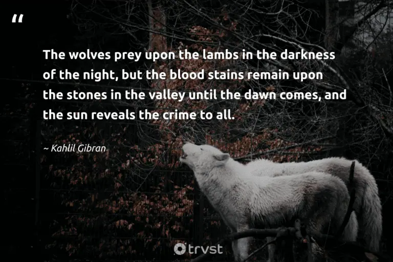 "The wolves prey upon the lambs in the darkness of the night, but the blood stains remain upon the stones in the valley until the dawn comes, and the sun reveals the crime to all." -Kahlil Gibran #trvst #quotes #takeaction #impact #wolf #blood #darkness #sun #literature