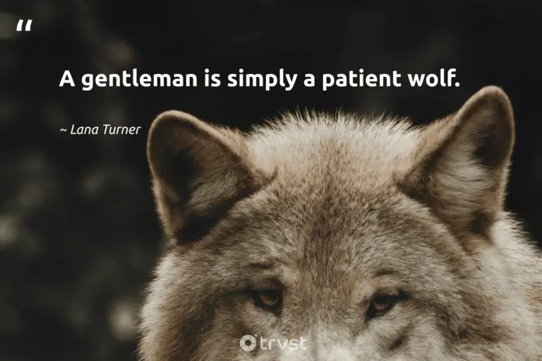 "A gentleman is simply a patient wolf." -Lana Turner #trvst #quotes #gogreen #socialchange #wolf #captionideas