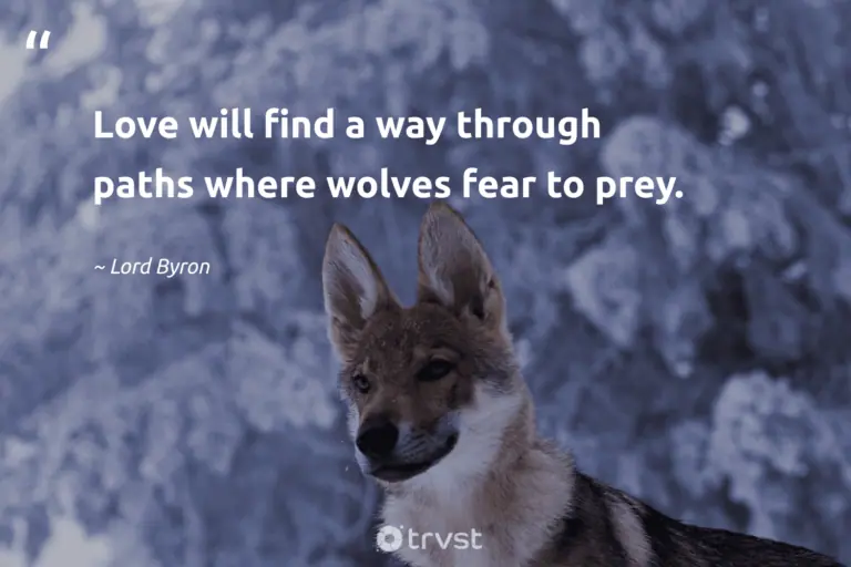 "Love will find a way through paths where wolves fear to prey." -Lord Byron #trvst #quotes #beinspired #socialimpact #wolf #captionideas