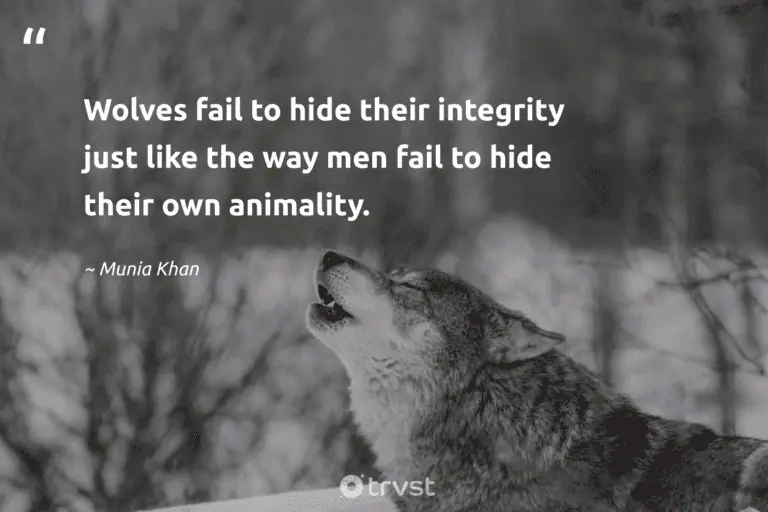 "Wolves fail to hide their integrity just like the way men fail to hide their own animality." -Munia Khan #trvst #quotes #impact #thinkgreen #wolf #modernliterature #books