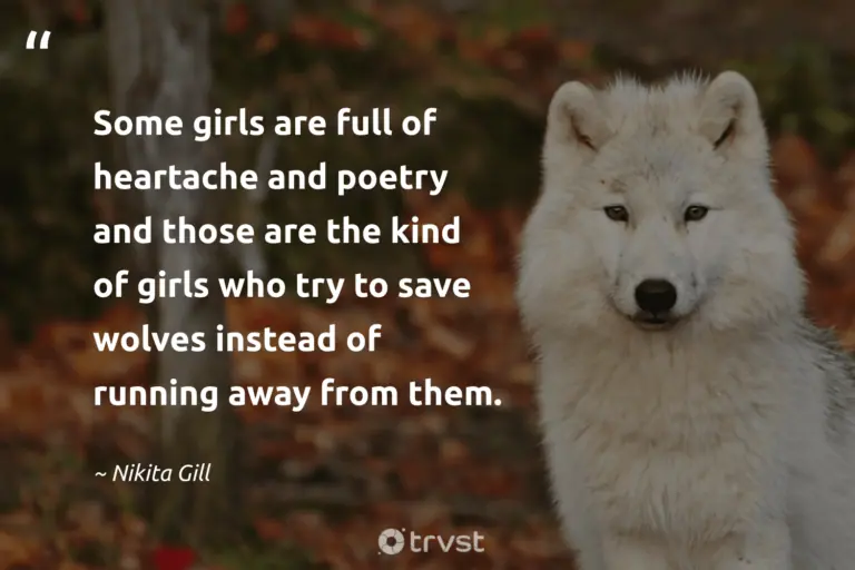"Some girls are full of heartache and poetry and those are the kind of girls who try to save wolves instead of running away from them." -Nikita Gill #trvst #quotes #bethechange #socialchange #wolf #dating