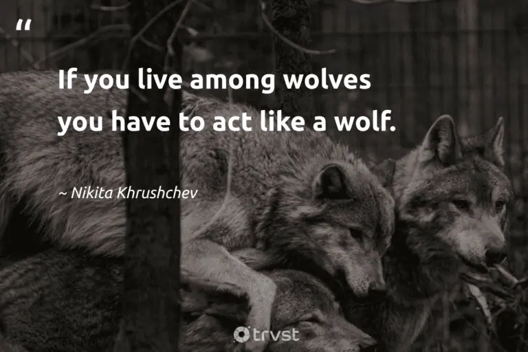 "If you live among wolves you have to act like a wolf." -Nikita Khrushchev #trvst #quotes #socialimpact #takeaction #wolf #fierce