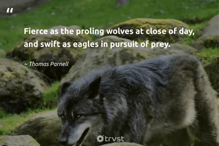 "Fierce as the proling wolves at close of day, and swift as eagles in pursuit of prey." -Thomas Parnell #trvst #quotes #dogood #planetearthfirst #wolf #literature
