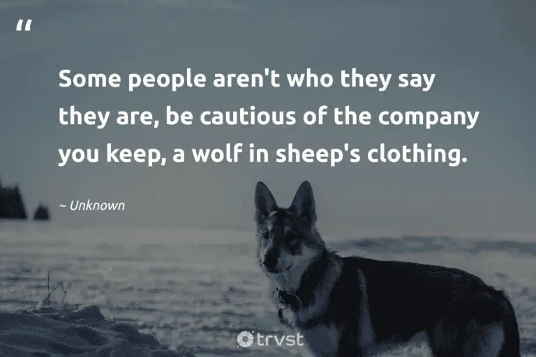 "Some people aren't who they say they are, be cautious of the company you keep, a wolf in sheep's clothing." -Unknown #trvst #quotes #gogreen #socialchange #wolf #idioms