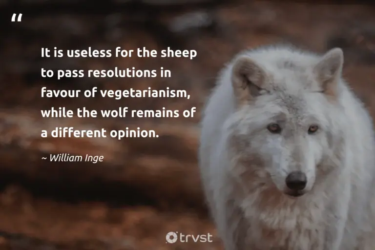 "It is useless for the sheep to pass resolutions in favour of vegetarianism, while the wolf remains of a different opinion." -William Inge #trvst #quotes #bethechange #collectiveaction #wolf #literature