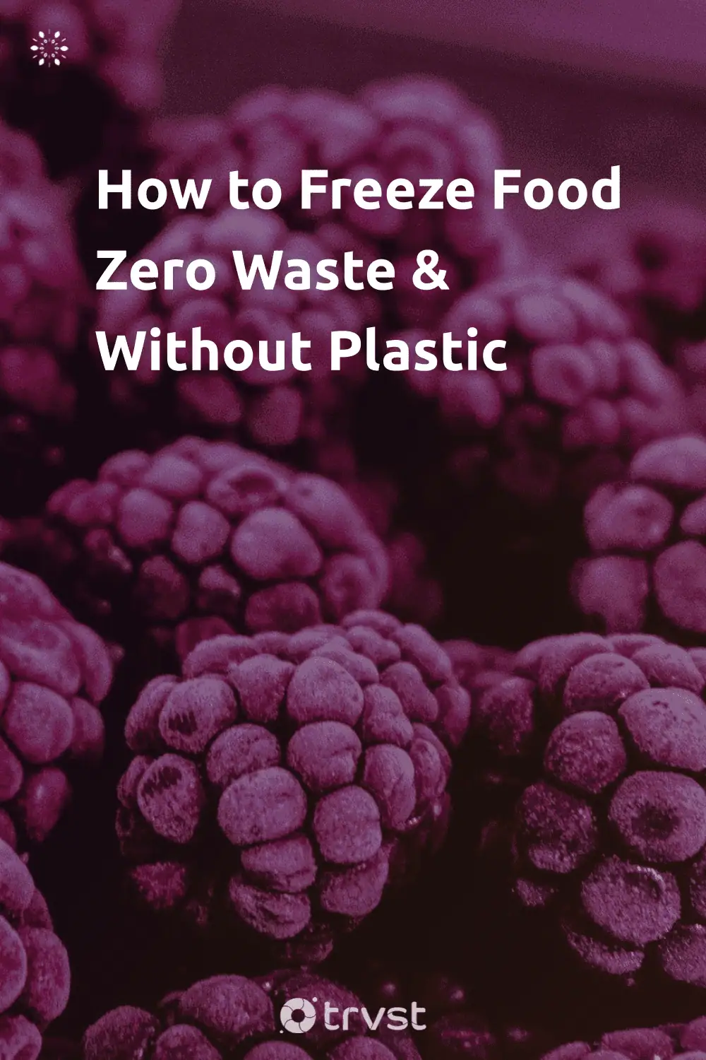 Pinterest Image for How to Freeze Food Zero Waste & Without Plastic