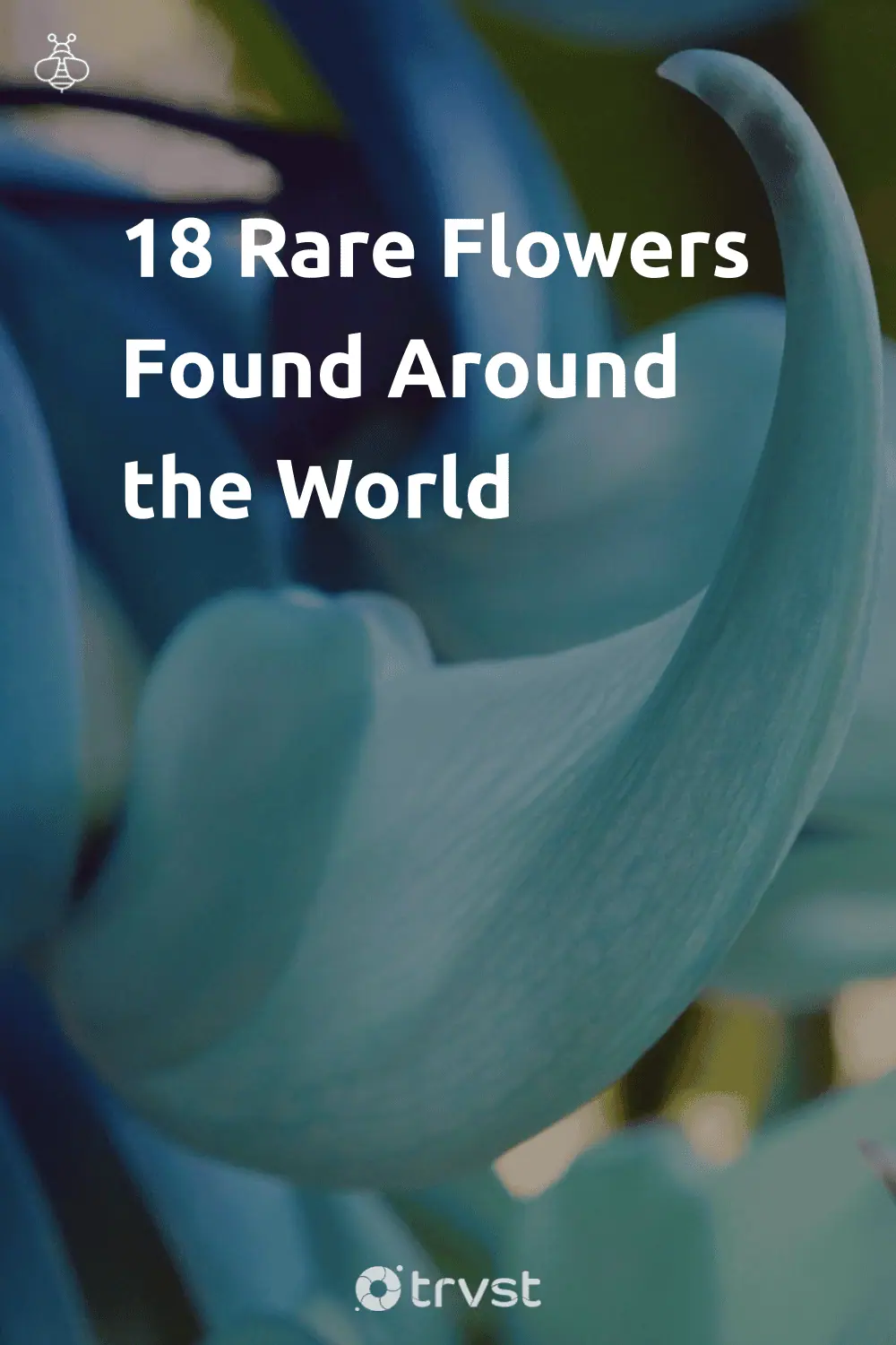 Pinterest Image for 18 Rare Flowers Found Around the World
