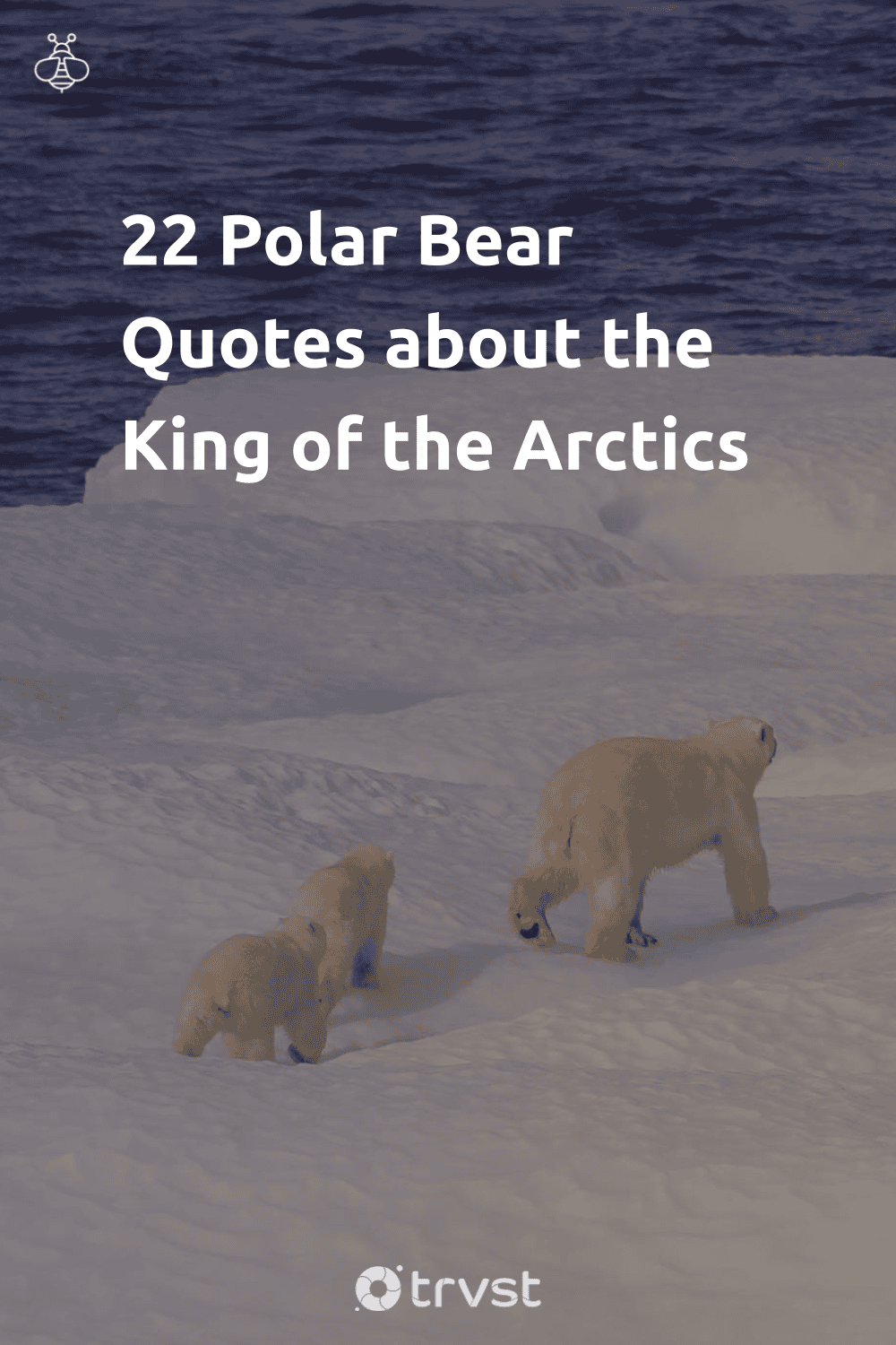 Pinterest Image for 22 Polar Bear Quotes about the King of the Arctics