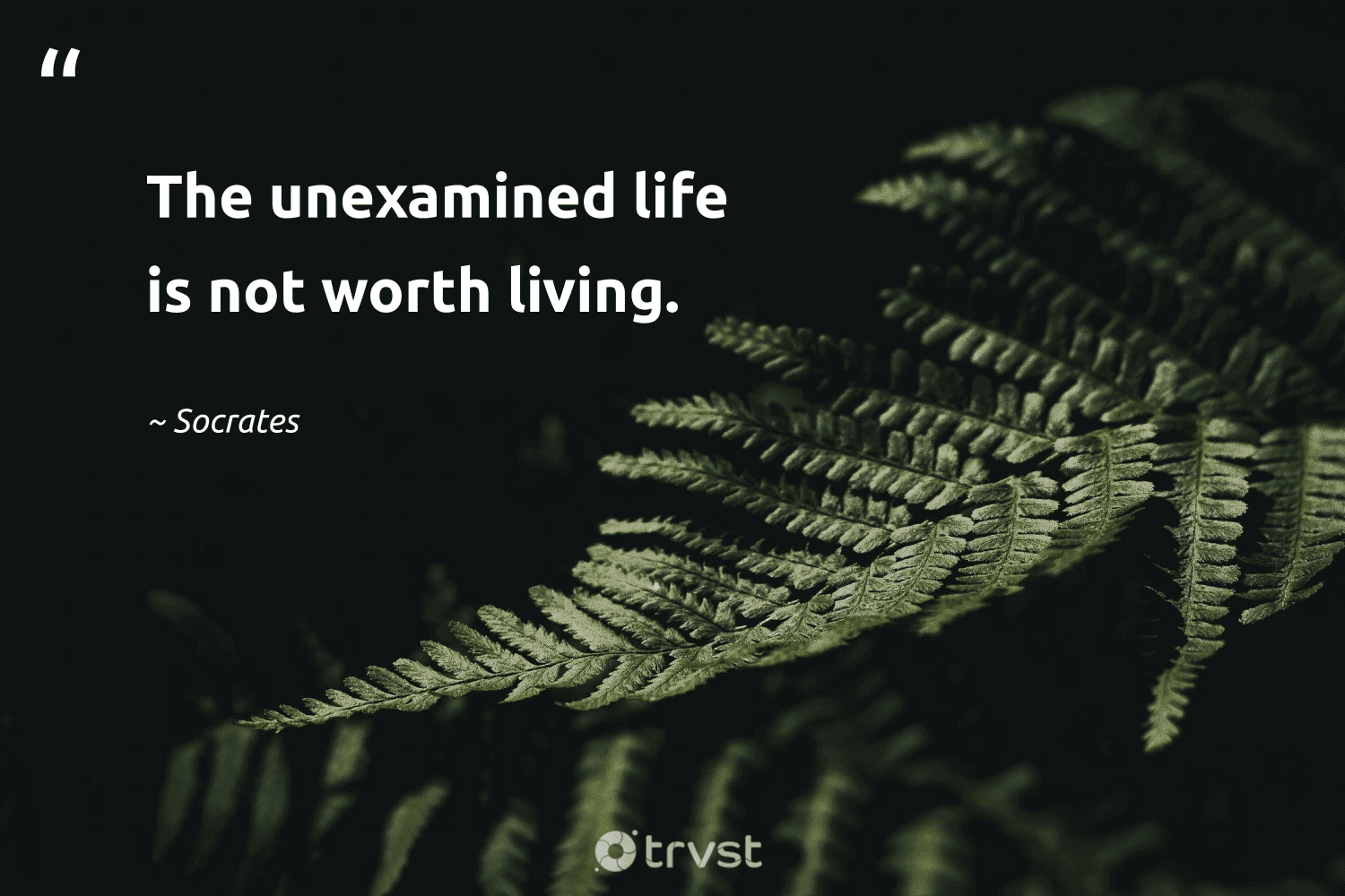 an unexamined life is not worth living reflection