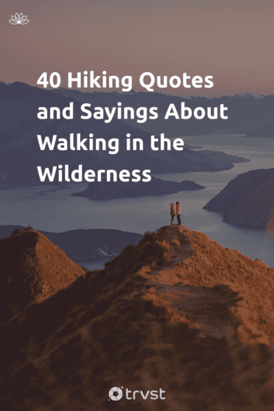 Pin Image Portrait 40 Hiking Quotes and Sayings About Walking in the Wilderness