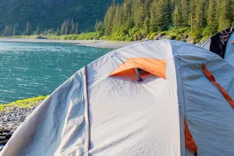 40 Camping Quotes and Sayings to Enjoy the Great Outdoors