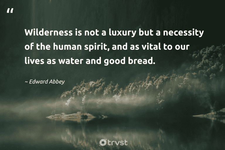 "Wilderness is not a luxury but a necessity of the human spirit, and as vital to our lives as water and good bread." -Edward Abbey #trvst #quotes #impact #dogood #hiking #water #walking #human #spirit 