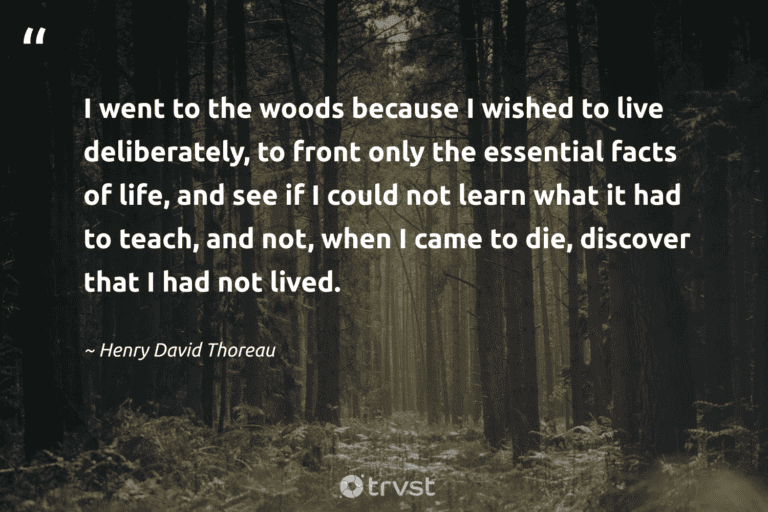 "I went to the woods because I wished to live deliberately, to front only the essential facts of life, and see if I could not learn what it had to teach, and not, when I came to die, discover that I had not lived." -Henry David Thoreau #trvst #quotes #socialchange #collectiveaction #hiking #woods #walking #life 