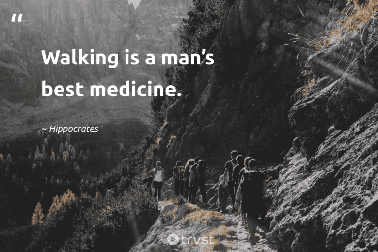"Walking is a man’s best medicine." -Hippocrates #trvst #quotes #socialchange #impact #hiking #walking 