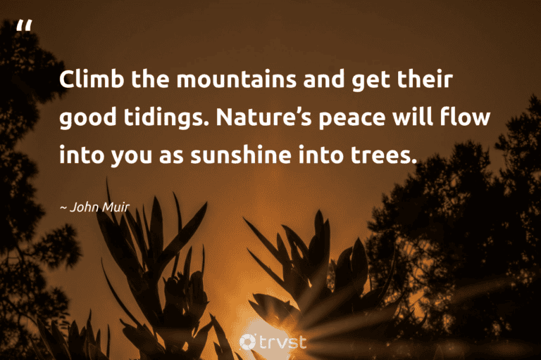 "Climb the mountains and get their good tidings. Nature’s peace will flow into you as sunshine into trees." -John Muir #trvst #quotes #ecoconscious #bethechange #hiking #trees #walking #peace 