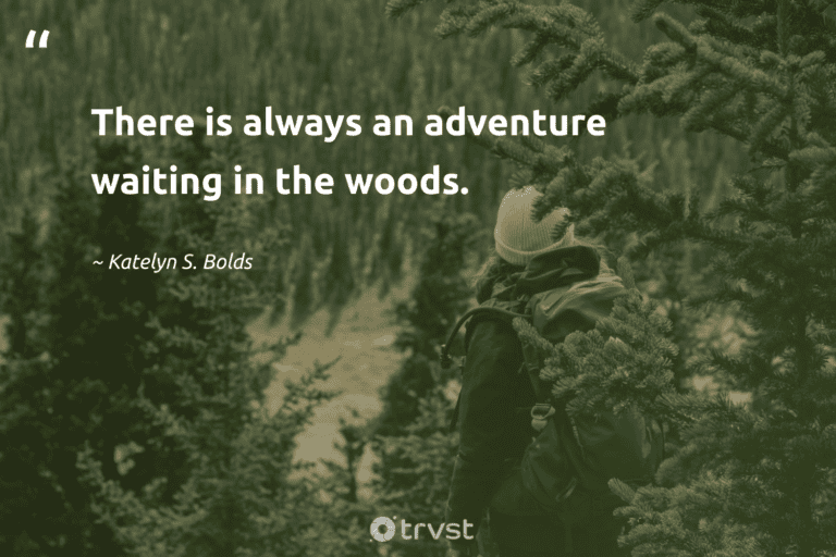 "There is always an adventure waiting in the woods." -Katelyn S. Bolds #trvst #quotes #beinspired #impact #walking #woods #hiking 