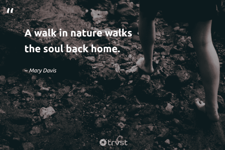 "A walk in nature walks the soul back home." -Mary Davis #trvst #quotes #bethechange #collectiveaction #hiking #nature #walking 