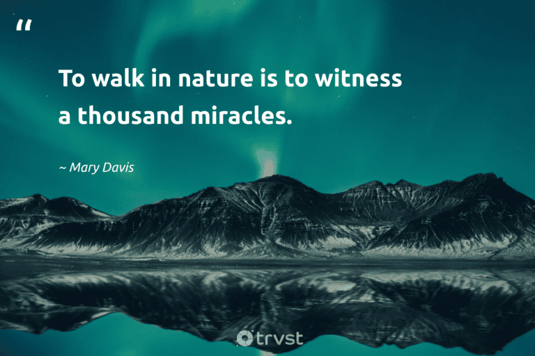 "To walk in nature is to witness a thousand miracles." -Mary Davis #trvst #quotes #dogood #planetearthfirst #hiking #nature #walking 