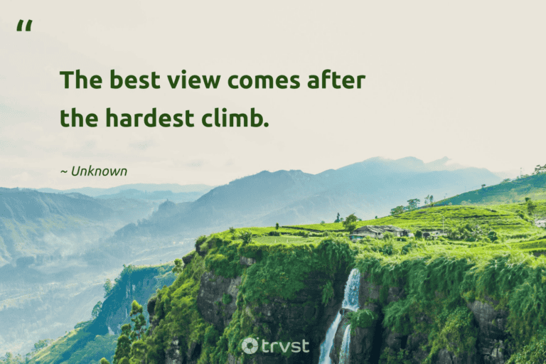 "The best view comes after the hardest climb." -Unknown #trvst #quotes #changetheworld #collectiveaction #walking #hiking 