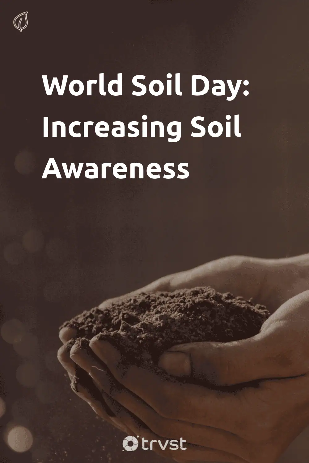 Pinterest Image for World Soil Day: Increasing Soil Awareness