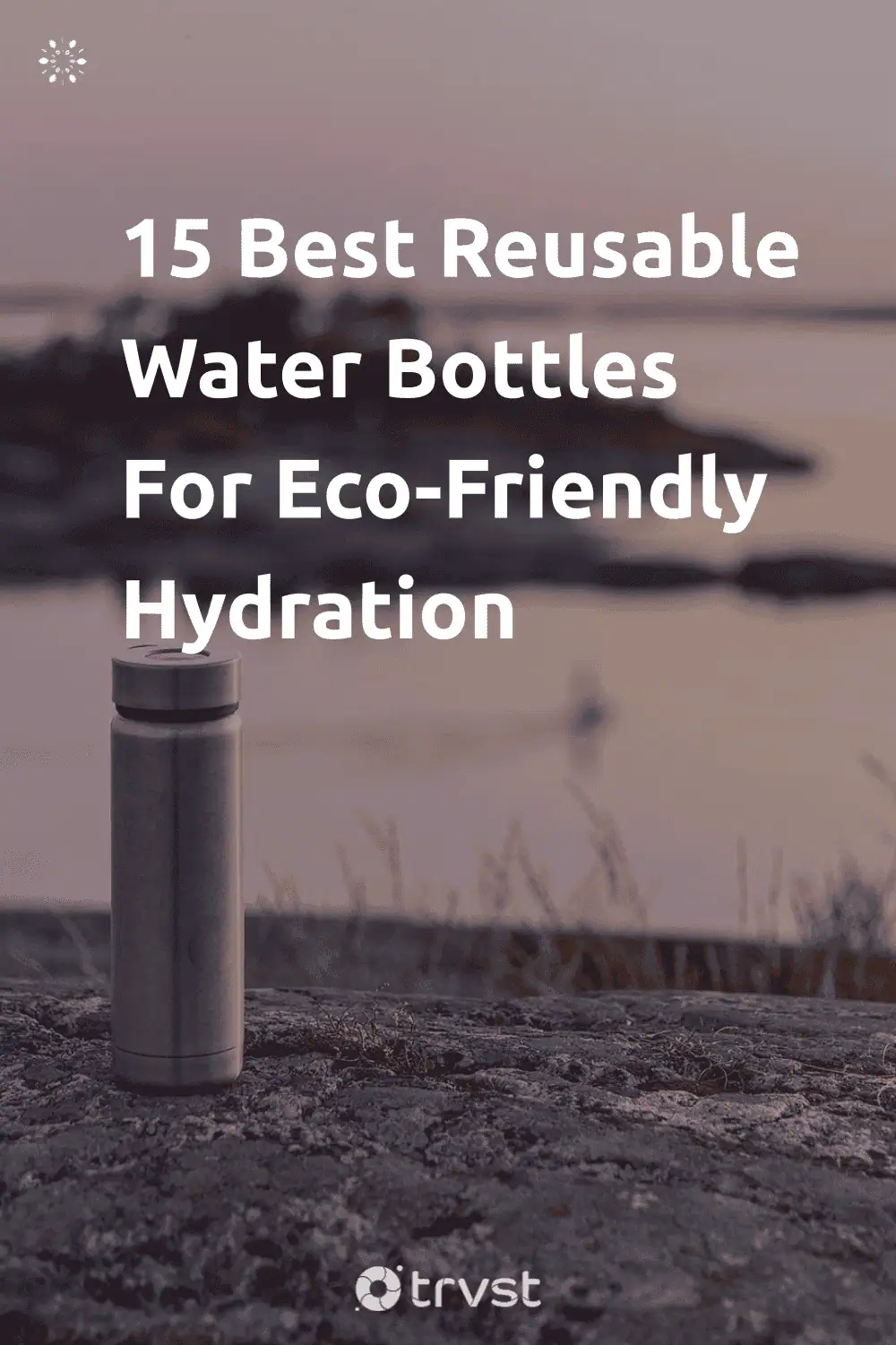 Pinterest Image for 15 Best Reusable Water Bottles For Eco-Friendly Hydration