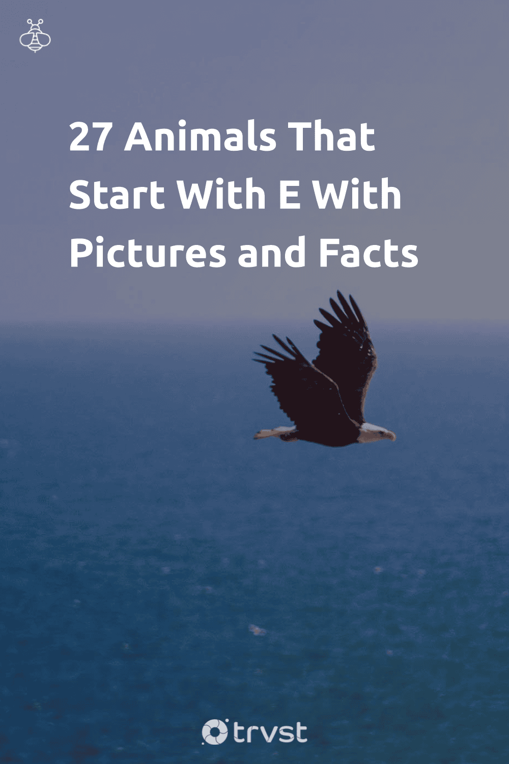 Pinterest Image for 27 Animals That Start With E With Pictures and Facts
