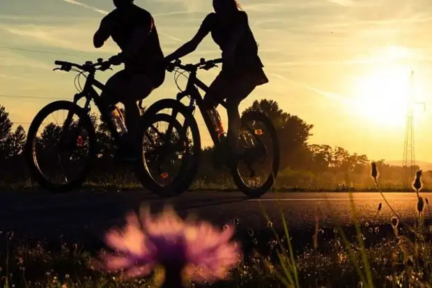 14 Sustainable Bike Shorts For Eco-Rides