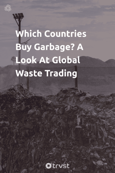 Pin Image Portrait Which Countries Buy Garbage? A Look At Global Waste Trading