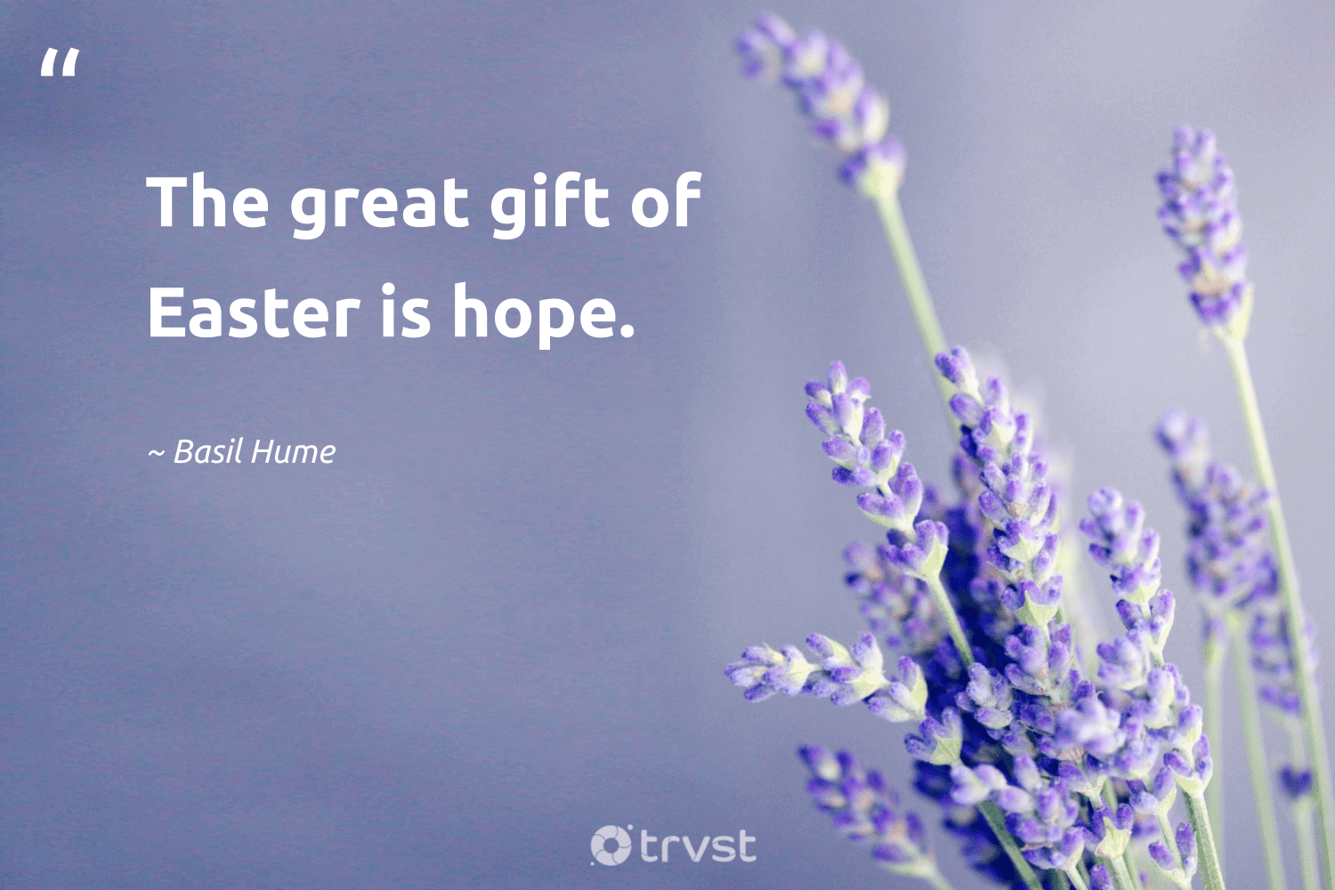 31 Easter Quotes and Sayings to Celebrate Renewal