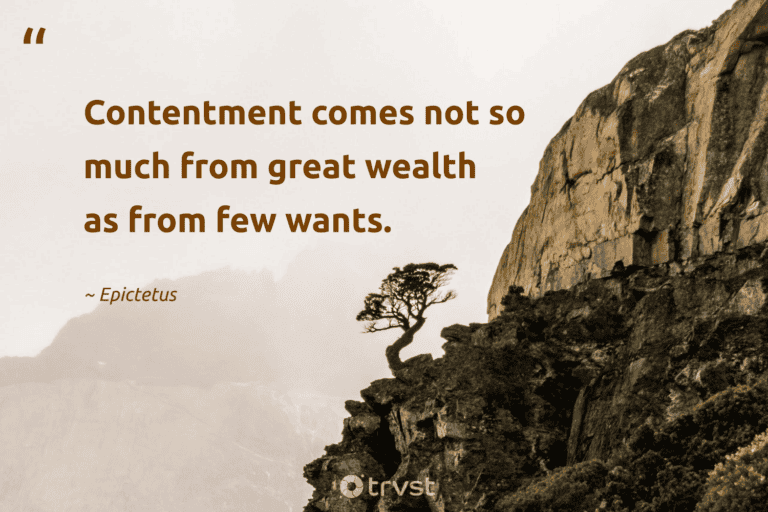 "Contentment comes not so much from great wealth as from few wants." -Epictetus #trvst #quotes #ecoconscious #bethechange #lessismore #wealth #minimalist #minimalism 