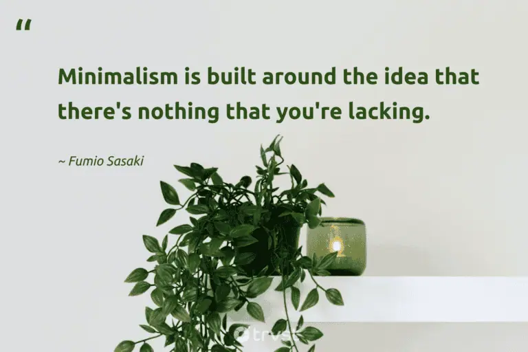 "Minimalism is built around the idea that there's nothing that you're lacking." -Fumio Sasaki #trvst #quotes #collectiveaction #thinkgreen #lessismore #minimalism #minimalist 