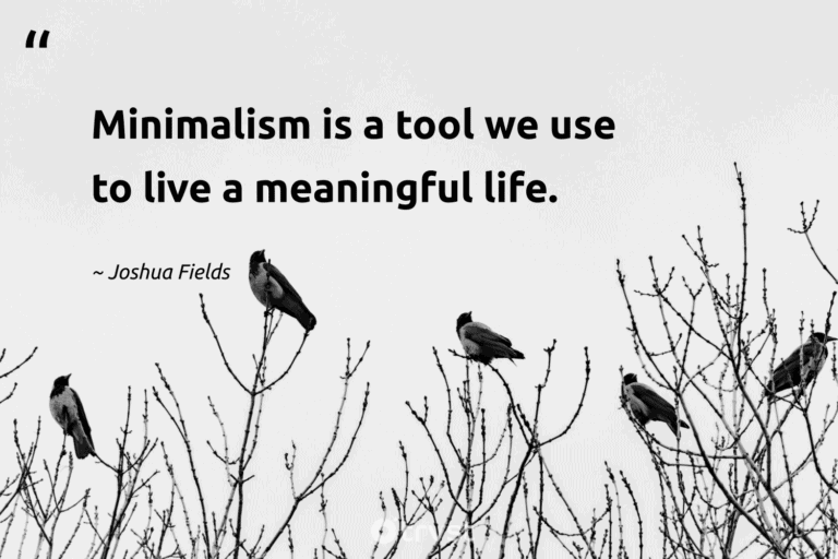 "Minimalism is a tool we use to live a meaningful life." -Joshua Fields #trvst #quotes #socialchange #bethechange #minimalist #life #lessismore #minimalism 