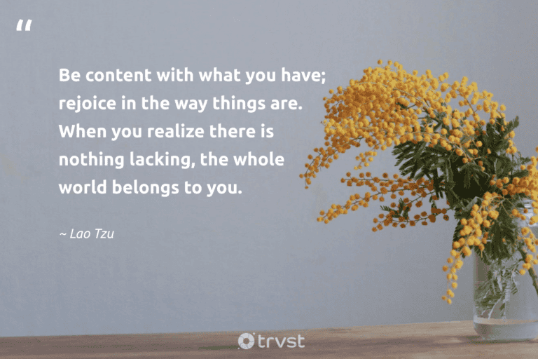 "Be content with what you have; rejoice in the way things are. When you realize there is nothing lacking, the whole world belongs to you." -Lao Tzu #trvst #quotes #socialimpact #ecoconscious #lessismore #world #minimalism #minimalist 
