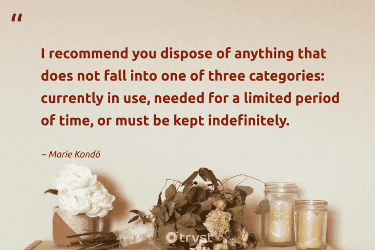 "I recommend you dispose of anything that does not fall into one of three categories: currently in use, needed for a limited period of time, or must be kept indefinitely." -Marie Kondō #trvst #quotes #takeaction #planetearthfirst #minimalist #lessismore #minimalism 